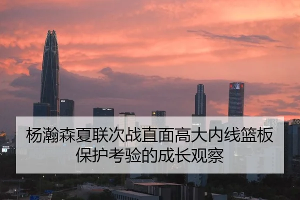 杨瀚森夏联次战直面高大内线篮板保护考验的成长观察